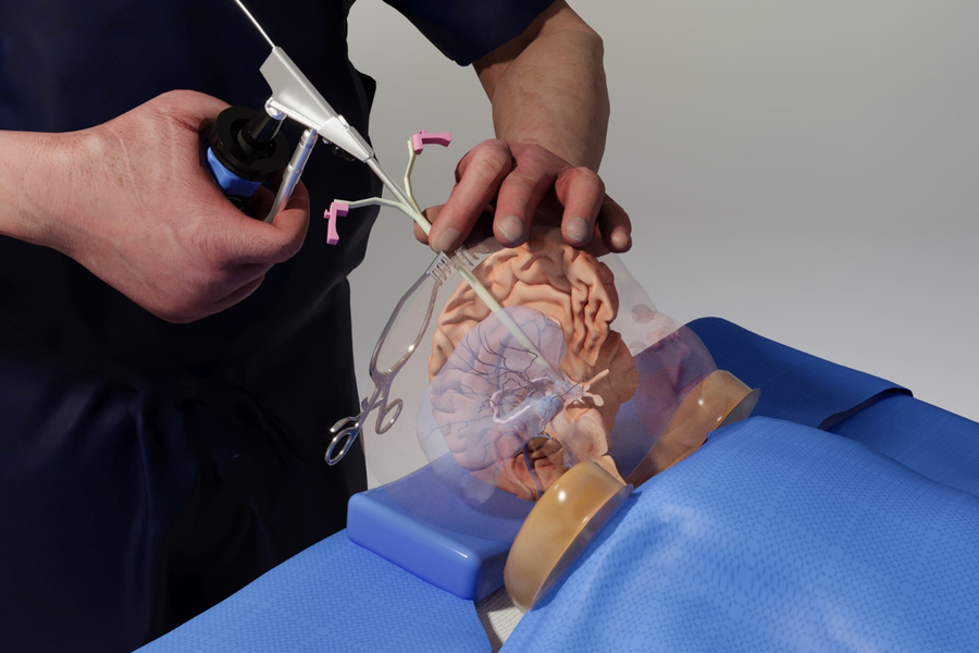 Brain surgery training from an avatar – Device Realization Laboratory